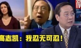 武汉弘阳天悦最新爆料事件,揭秘项目疑云与业主维权真相