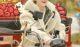 陈佩斯爆料娱乐圈,真实与虚假的较量